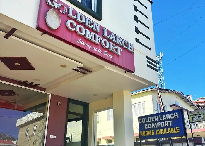Golden Larch Comfort